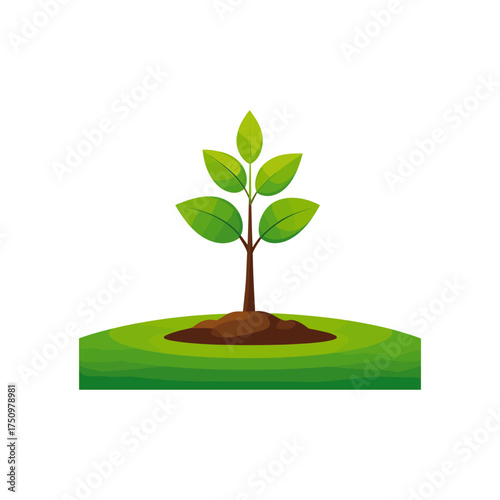 Simple Icon of a Small Tree on a Patch of Green Grass suitable for use in graphic design
