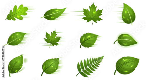 Assorted Green Leaves Collection: Oak Maple and Other Leaf Types.