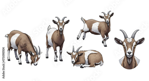 Minimal hand-drawn icons of five goats in various poses, including standing, grazing, and resting, presented on a transparent background for versatile use
