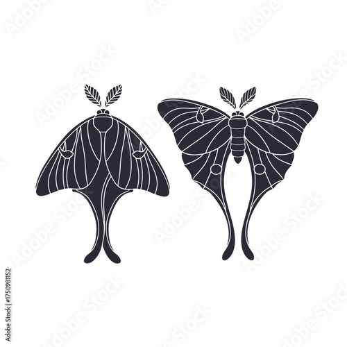 Art nouveau style luna moth hand drawn monochrome clipart. Vintage black and white insect design