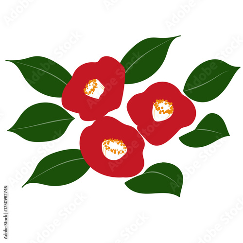 Red camellia flowers with green leaves vector illustration on transparent background, simple Japanese floral design｜camellia, flower, vector, Japanese style, red bloom