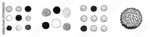 Hand drawn tree canopy top view symbols in black and white