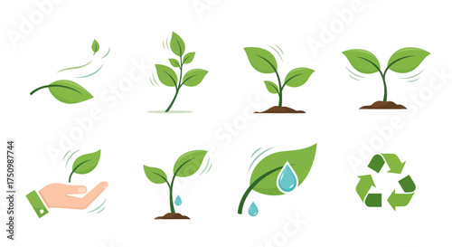 Cuadro en lienzo Green Plant Growth Stages and Environmental Conservation Icons Set