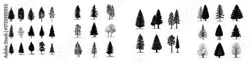 Collection of hand drawn pine and deciduous tree silhouettes and outlines
