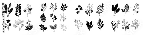 Hand drawn botanical elements in black and white style for rustic design