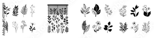 Hand drawn botanical elements and foliage silhouettes for nature design