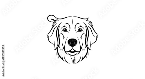 Golden Retriever Portrait - A Detailed Line Art Illustration of a Loyal Companion.