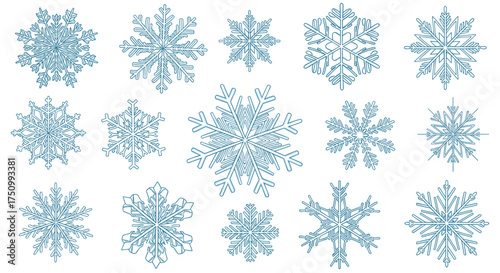 A collection of unique and intricate snowflake designs showcasing winter's natural beauty.