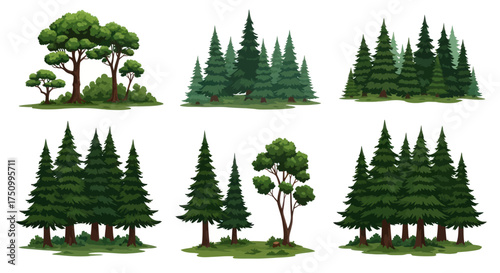 Diverse Collection of Evergreen and Deciduous Trees in Natural Settings.