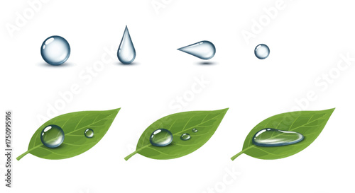 Various Water Droplets and Dew on Green Leaves.