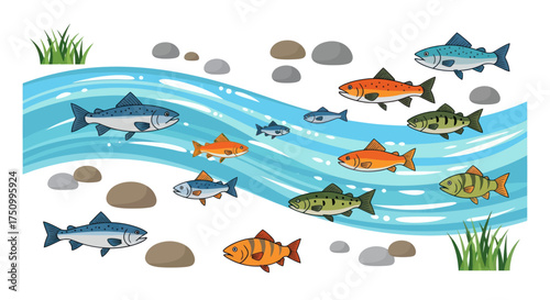 Cartoon River Scene with Various Fish Swimming Upstream.