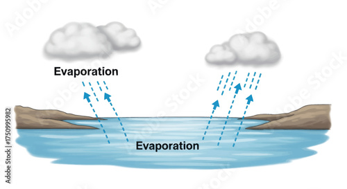 Water Cycle Diagram Showing Evaporation and Precipitation.