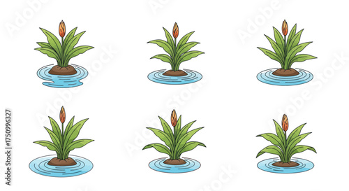Watercolor Illustration of Six Floating Water Plants with Red Buds.