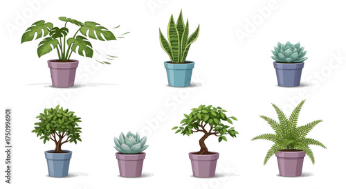 Assortment of Various Potted Plants in Decorative Containers.