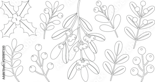 Black and White Line Art Holly Leaves, Berries, and Mistletoe Branches Illustration Collection