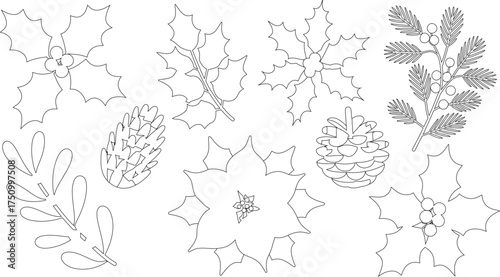Black and White Outline of Holly, Poinsettia, Evergreen Branch, and Pine Cones Christmas Elements