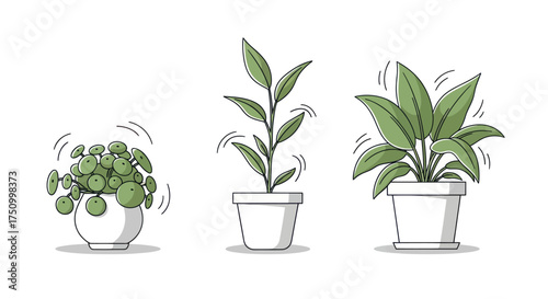 Three Potted Plants with Shaking Effect Representing Growth or Movement.