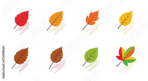 Colorful Autumn Leaves Collection: Red Orange Yellow Green and Brown.