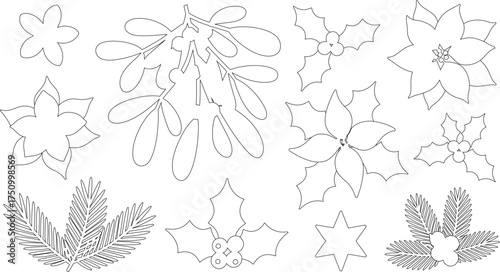 Line Art of Mistletoe, Holly, Poinsettia, Star and Fir Branches for Coloring Pages