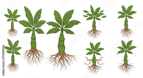 Group of stylized green plants with visible roots isolated on white.
