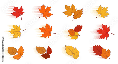Collection of Autumn Maple Leaves in Various Colors and Motion Effects.
