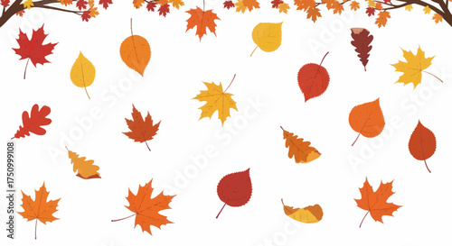 Assortment of Autumn Leaves Falling in Various Colors and Shapes.