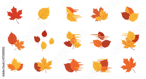 A collection of colorful autumn leaves in a flat vector style showing various types and leaves blowing in the wind.