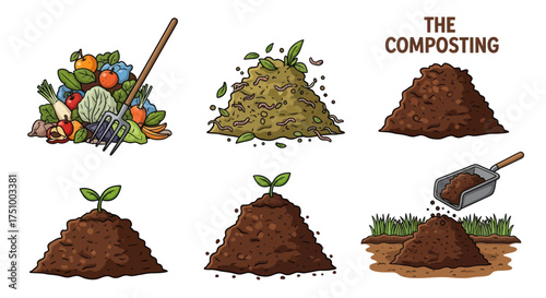 Illustrated Composting Process: Stages of Organic Decomposition.
