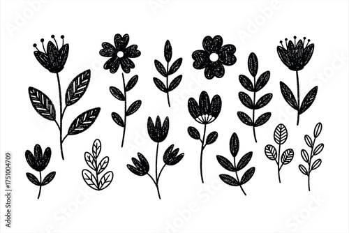 Black Hand Drawn Flowers and Leaves Botanical Elements on White Background floral nature