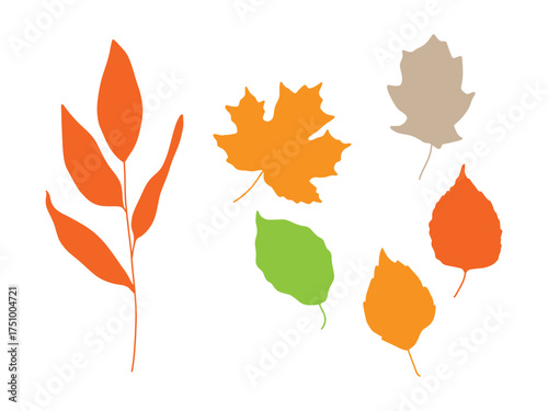Autumn Leaves Vector Set. Colorful Fall Leaf Silhouettes