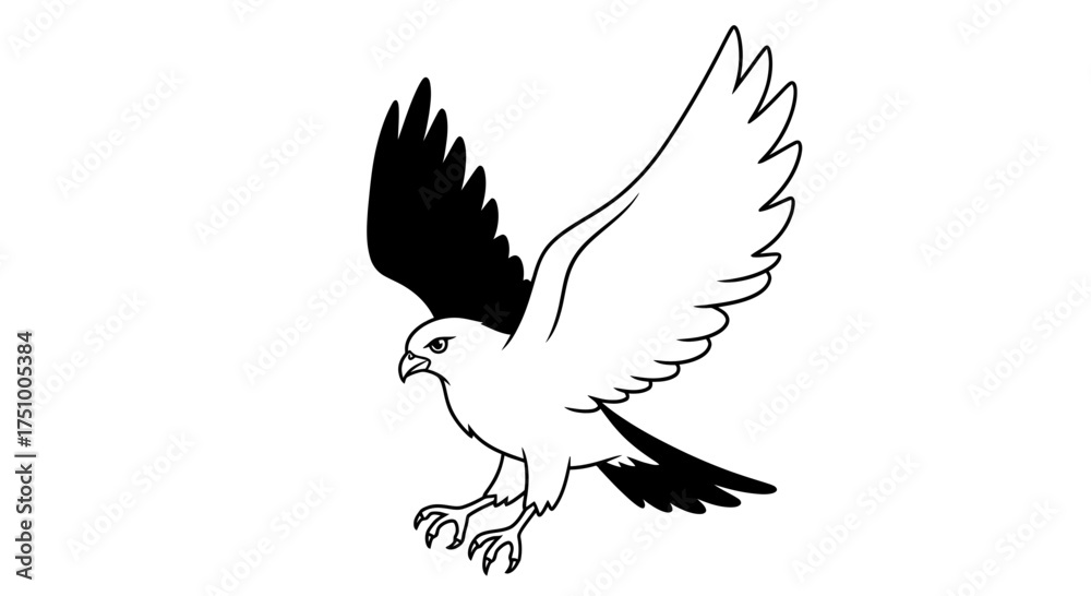 Fototapeta premium Elegant monochrome illustration of an eagle soaring with widespread wings ready to capture the sky