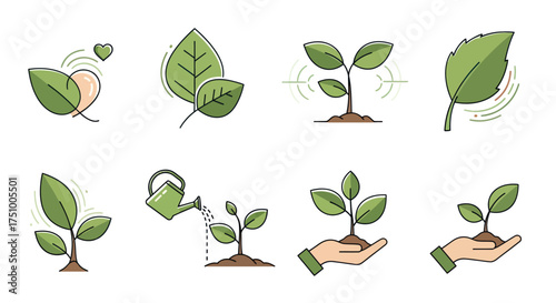 Collection of Green Plant Seedlings and Leaves Illustrations.