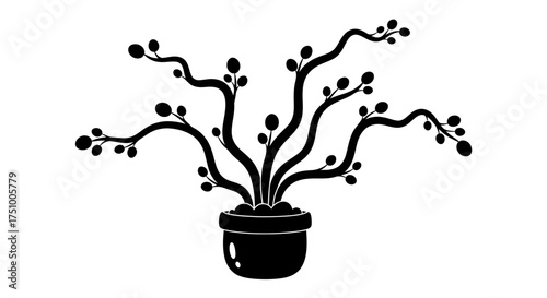 Stylized silhouette of potted plant showing minimal design and botanical illustration on white