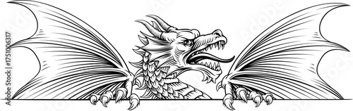 A dragon sign banner illustration in a medieval vintage woodcut style