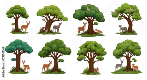 Collection of Illustrated Trees with Various Deer Underneath.