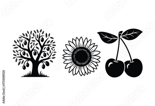 Set of four black silhouette vector illustrations fruit tree sunflower cherries nature elements silhouette vector illustration white background