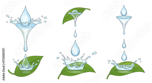 Three illustrations of water drops splashing onto green leaves.