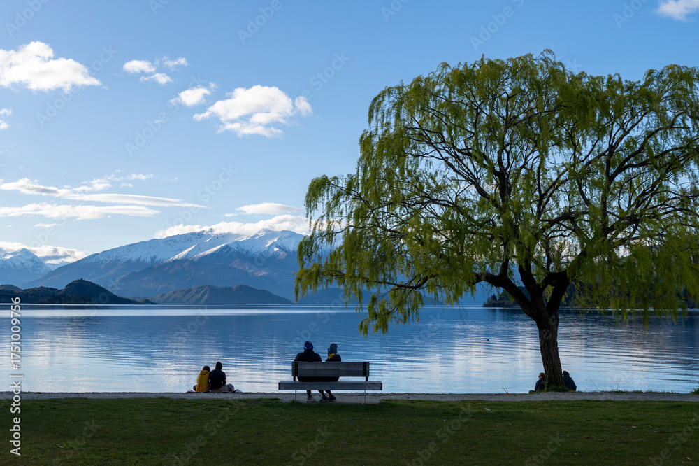 Fototapeta premium wanaka landscapes