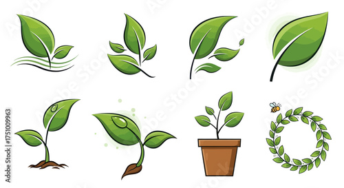 Collection of Green Leaf Illustrations and Plant Designs.