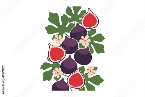 Purple figs and green leaves with pink flowers on white background fruit fresh fig