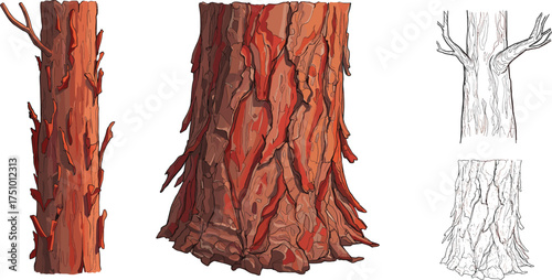 Realistic detailed tree bark texture set with trunk cross sections and sketch outline, natural wood surface illustration for design projects