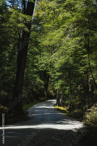 Glenorchy Landscapes