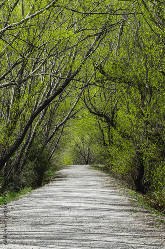Glenorchy Landscapes