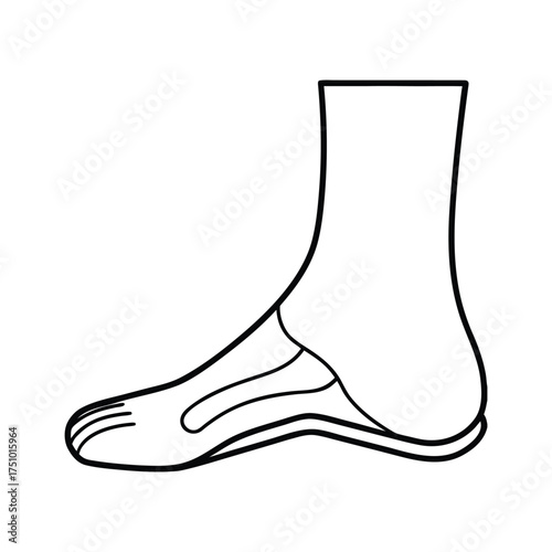 Side view of a human foot with visible bones anatomical illustration of the foot structure for medical or educational purposes