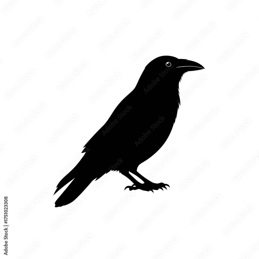 Fototapeta premium Mysterious raven silhouette embodies dark beauty and enigmatic presence in stark contrast