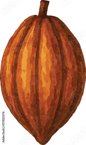 Vector watercolor painted illustration of a cocoa bob