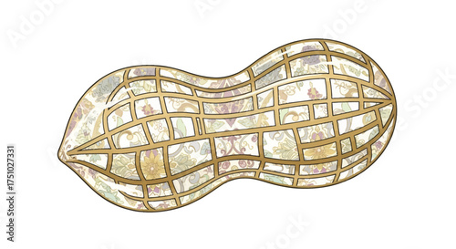 A stylized peanut illustration with an ornate pattern design and golden outlines illustration
