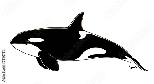 Captivating illustration of a majestic orca swimming gracefully through the ocean's depths