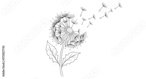 Delicate dandelion illustration with flying seeds conveying themes of freedom and nature's