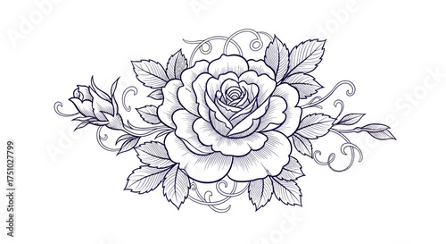 Delicate rose blossom illustration with swirling stems, detailed petals and foliage design
